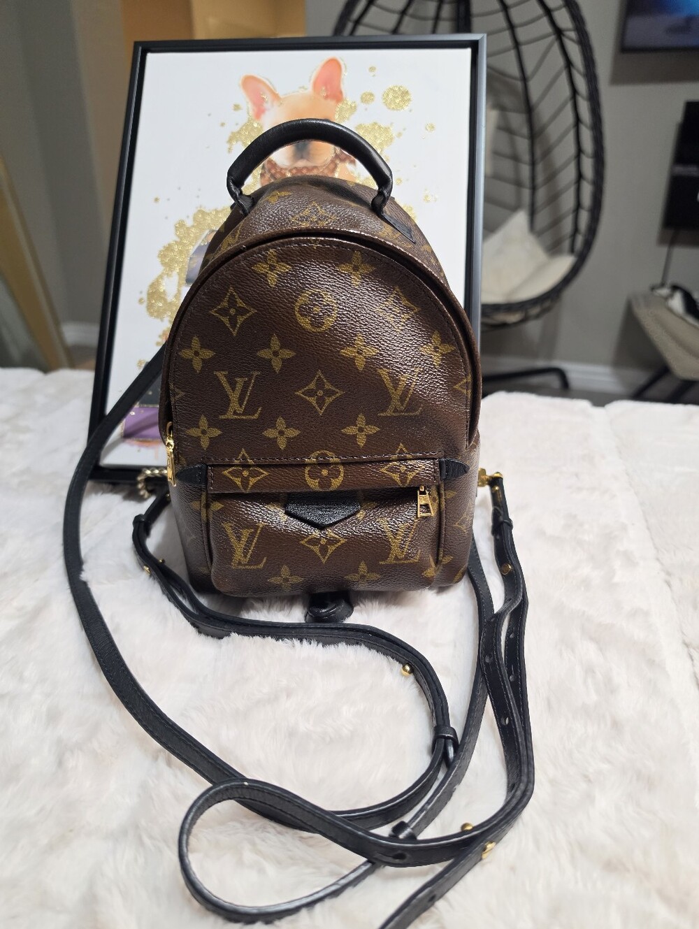 🔥 Louis Vuitton Brown Monogram Palm Spring Mini EUC 🔥